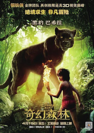 初中学历可以考取哪些证书